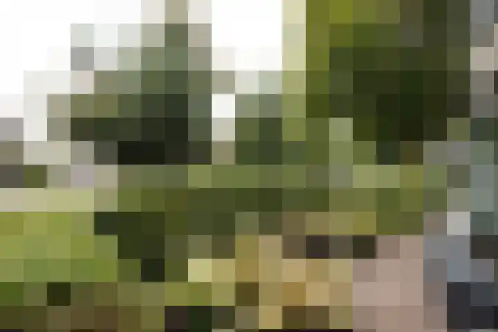 De Steenkamp 61 Voorthuizen thumbnail 4