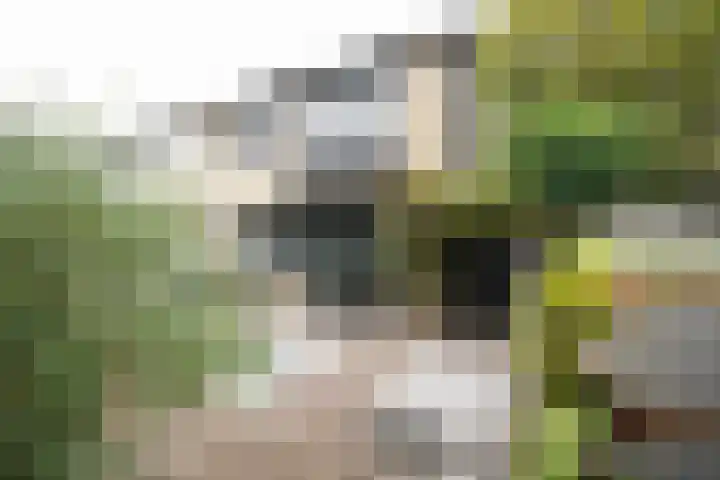 De Steenkamp 61 Voorthuizen thumbnail 40