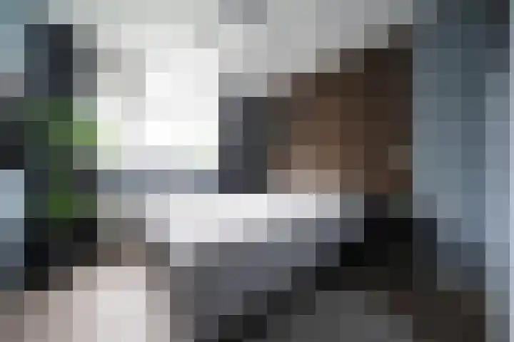 De Steenkamp 61 Voorthuizen thumbnail 43