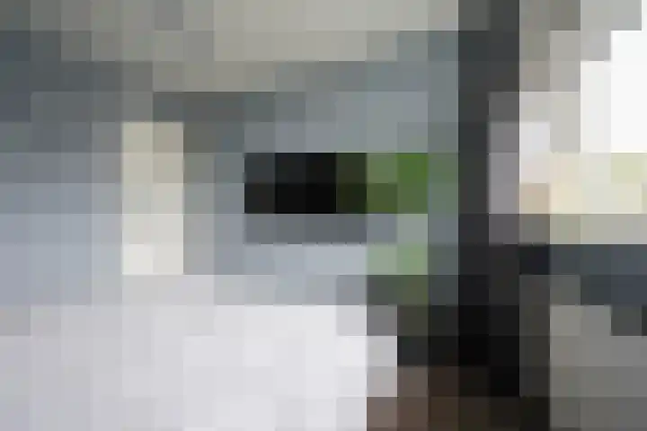 De Steenkamp 61 Voorthuizen thumbnail 44