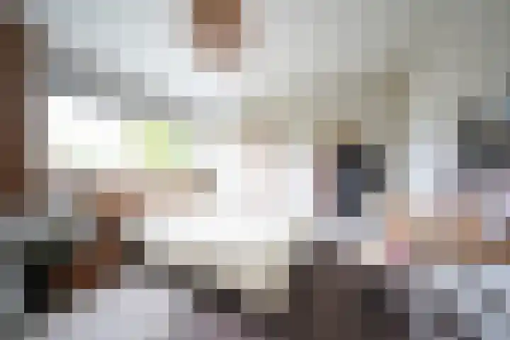 De Steenkamp 61 Voorthuizen thumbnail 45