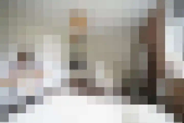 De Steenkamp 61 Voorthuizen thumbnail 46