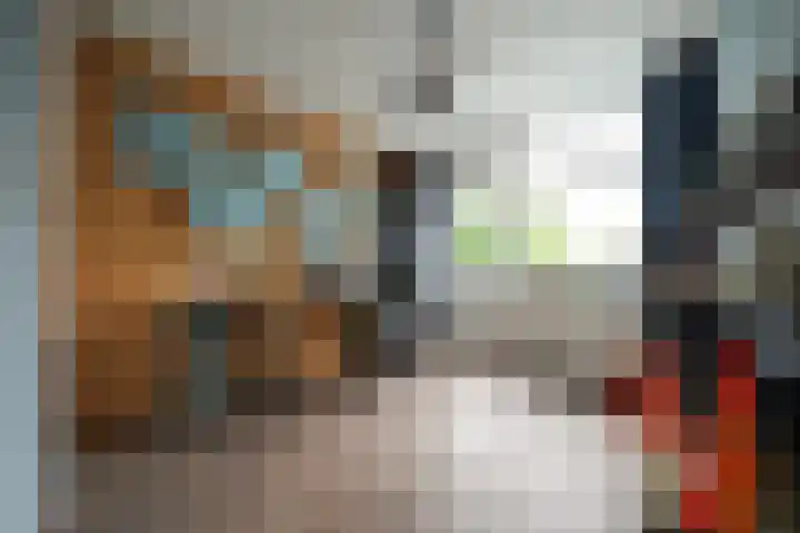 De Steenkamp 61 Voorthuizen thumbnail 47