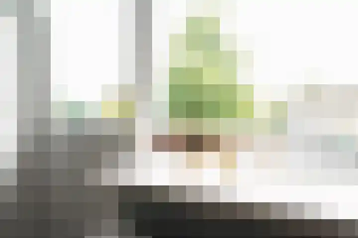 De Steenkamp 61 Voorthuizen thumbnail 48