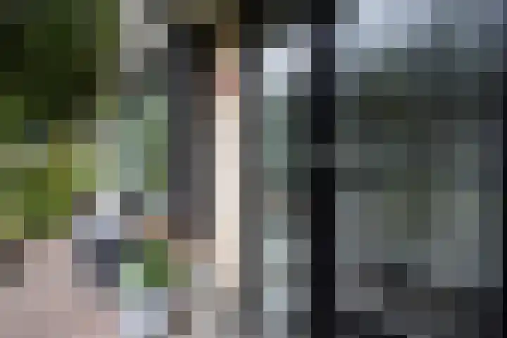 De Steenkamp 61 Voorthuizen thumbnail 5