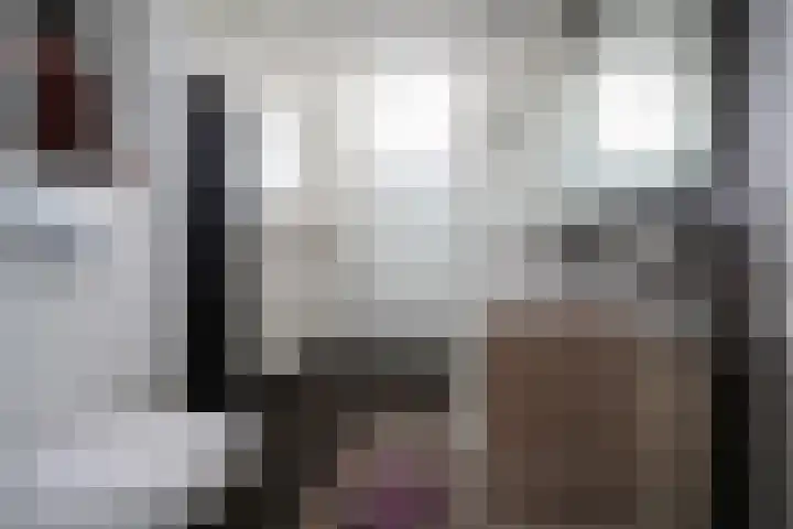 De Steenkamp 61 Voorthuizen thumbnail 50