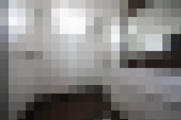 De Steenkamp 61 Voorthuizen thumbnail 51