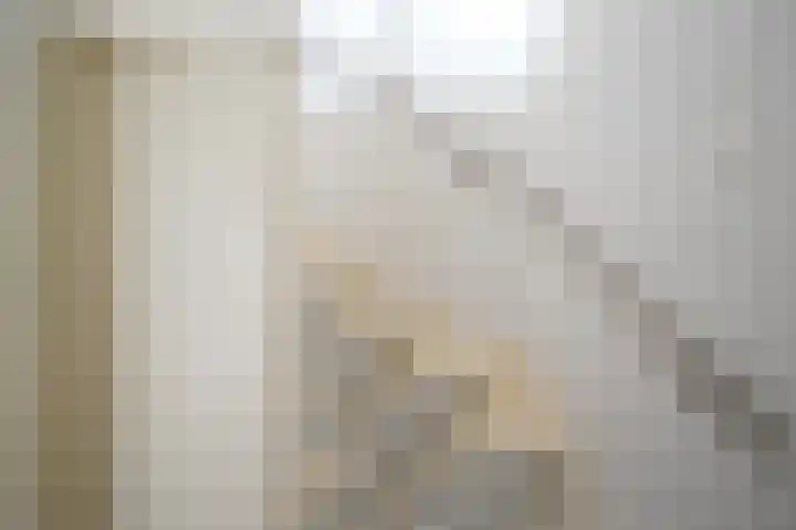 De Steenkamp 61 Voorthuizen thumbnail 55