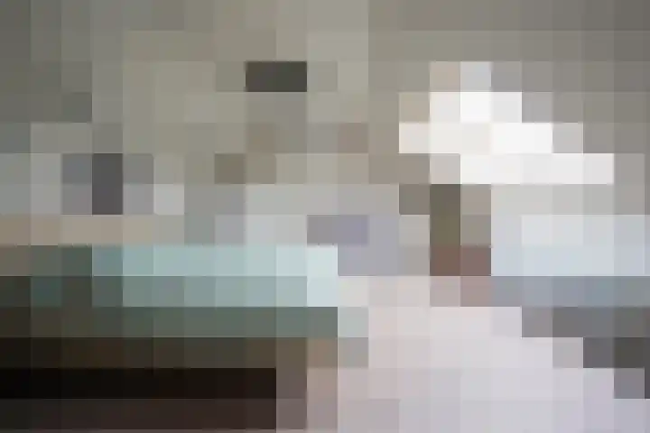 De Steenkamp 61 Voorthuizen thumbnail 57