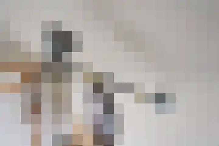 De Steenkamp 61 Voorthuizen thumbnail 58