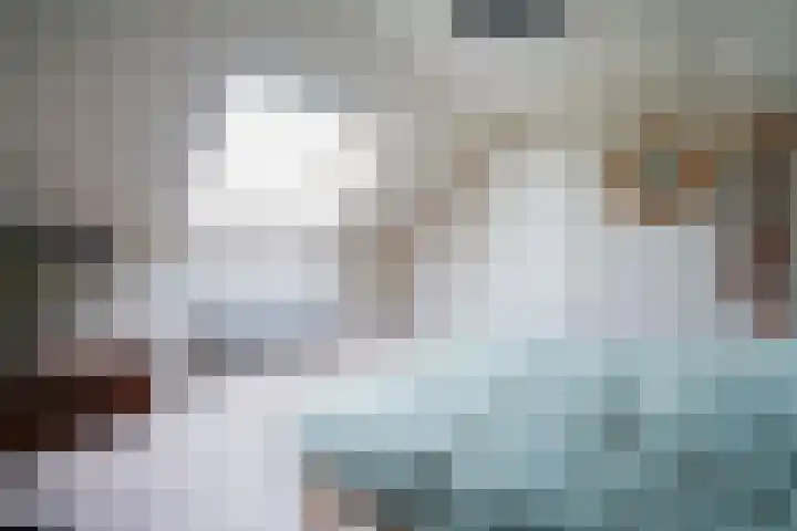 De Steenkamp 61 Voorthuizen thumbnail 59