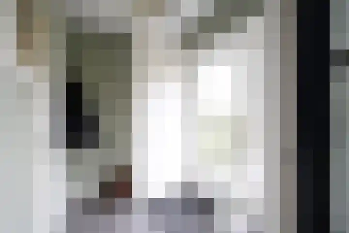 De Steenkamp 61 Voorthuizen thumbnail 6