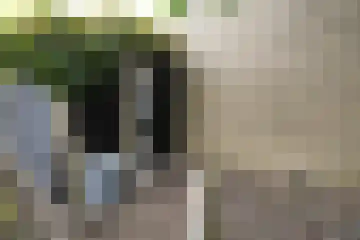 De Steenkamp 61 Voorthuizen thumbnail 60