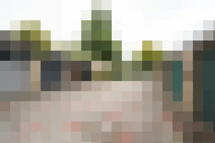 De Steenkamp 61 Voorthuizen thumbnail 61