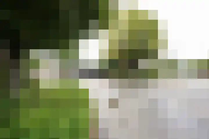 De Steenkamp 61 Voorthuizen thumbnail 62