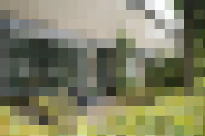 De Steenkamp 61 Voorthuizen thumbnail 63