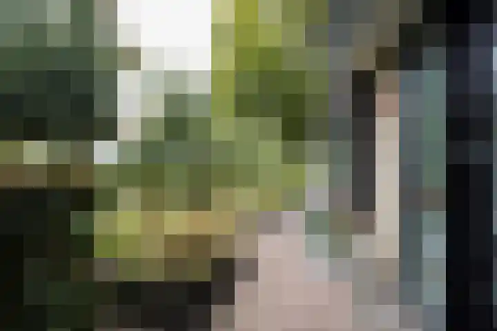 De Steenkamp 61 Voorthuizen thumbnail 64