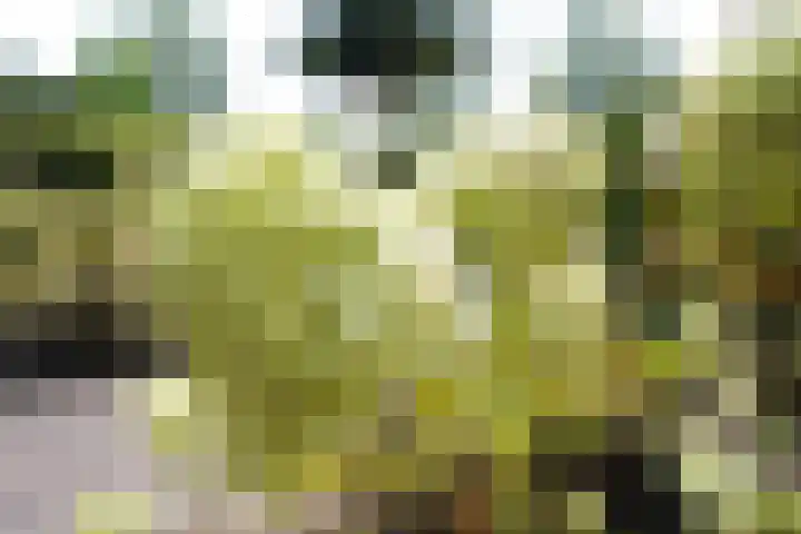 De Steenkamp 61 Voorthuizen thumbnail 65