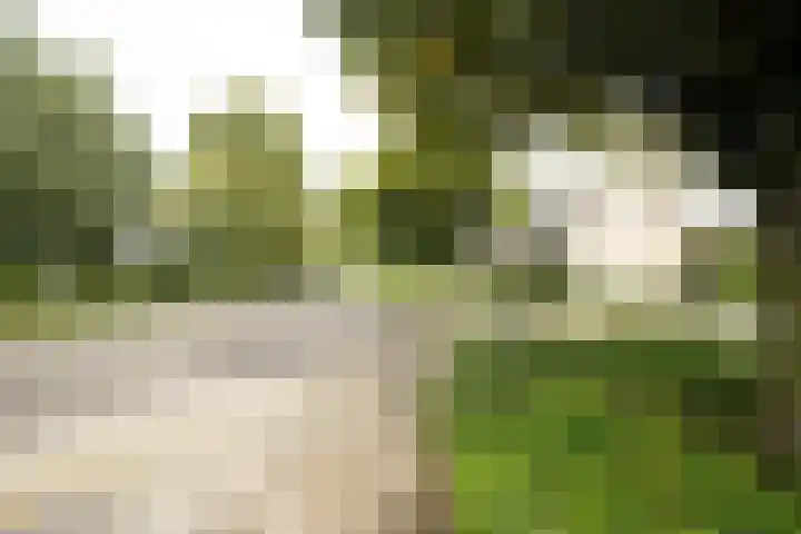 De Steenkamp 61 Voorthuizen thumbnail 66