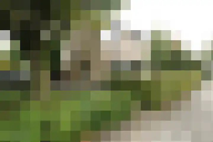 De Steenkamp 61 Voorthuizen thumbnail 67