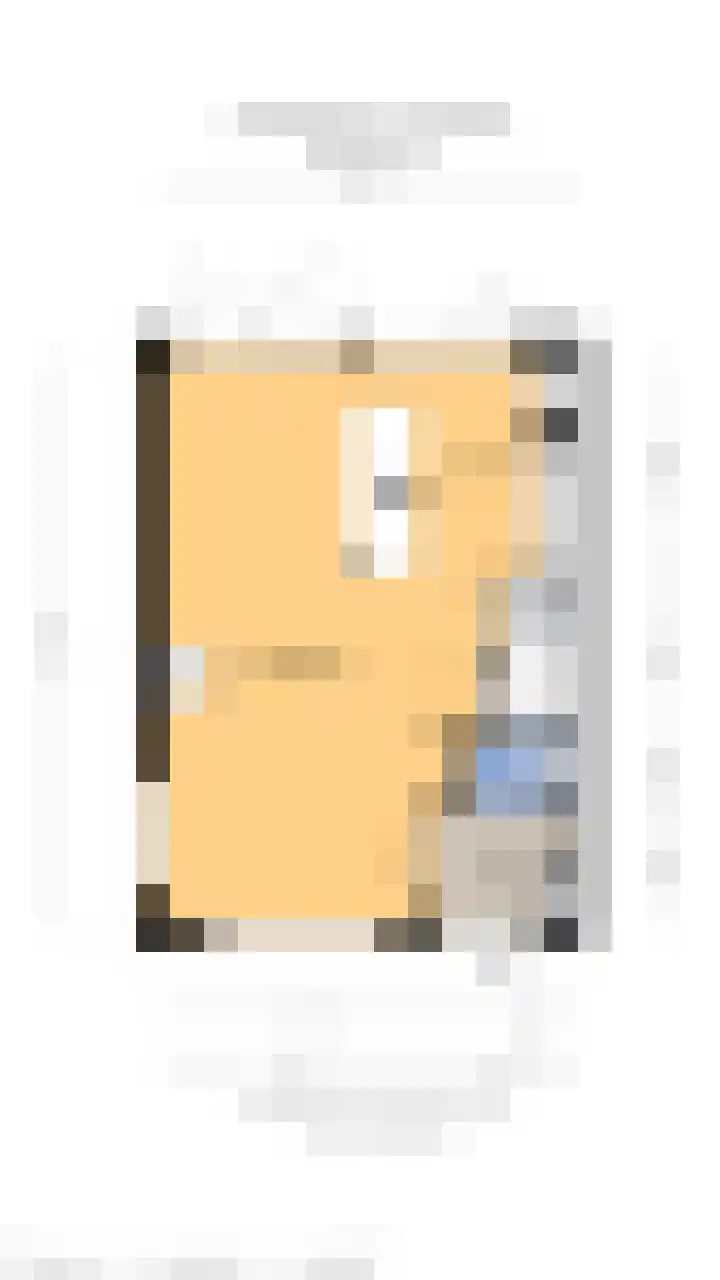 De Steenkamp 61 Voorthuizen thumbnail 68