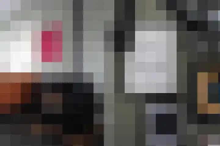 De Steenkamp 61 Voorthuizen thumbnail 9