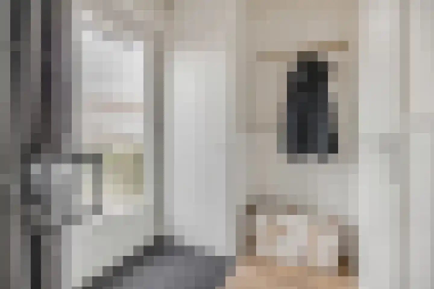 De Steenkamp 64 Voorthuizen thumbnail 10