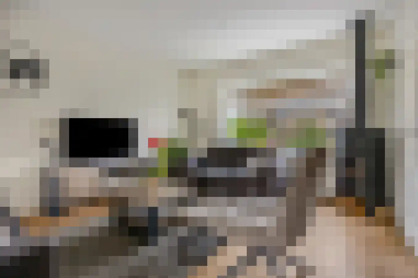 De Steenkamp 64 Voorthuizen thumbnail 13