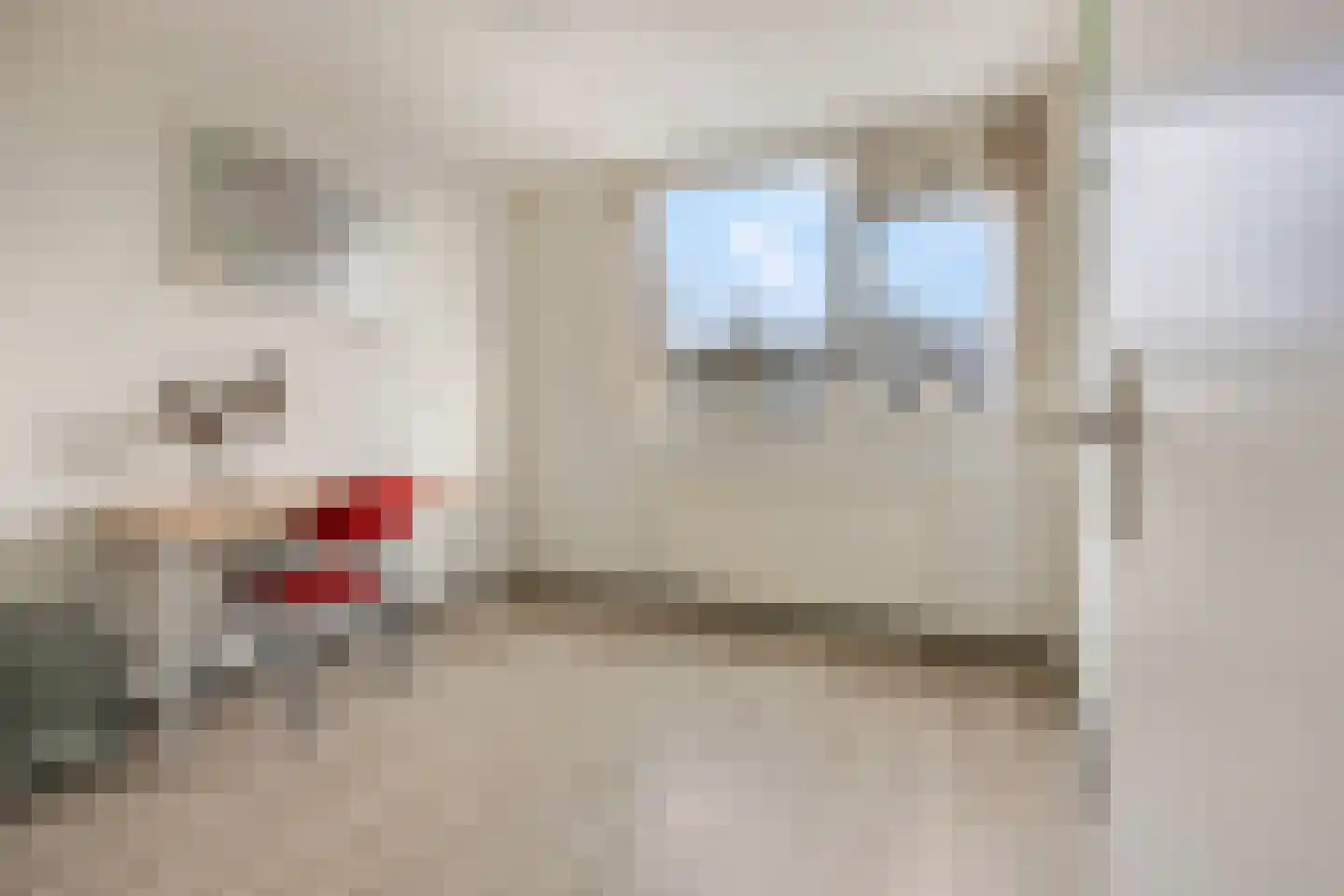 De Steenkamp 64 Voorthuizen thumbnail 27