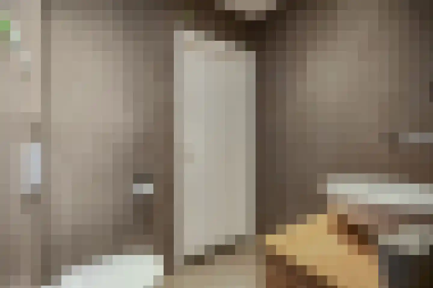 De Steenkamp 64 Voorthuizen thumbnail 34
