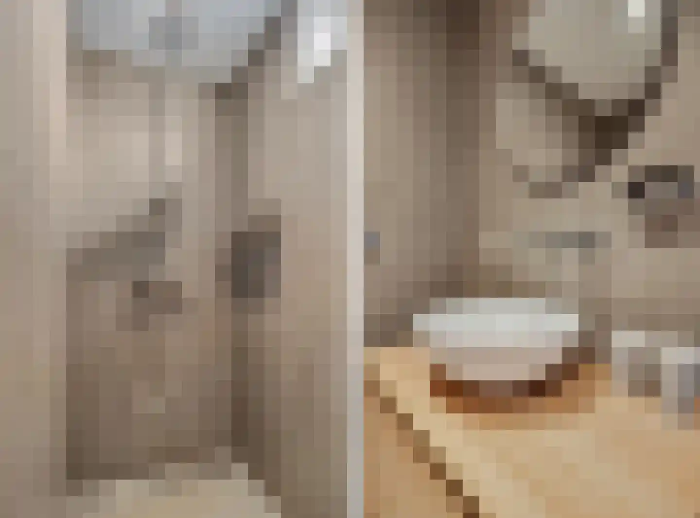 De Steenkamp 64 Voorthuizen thumbnail 35