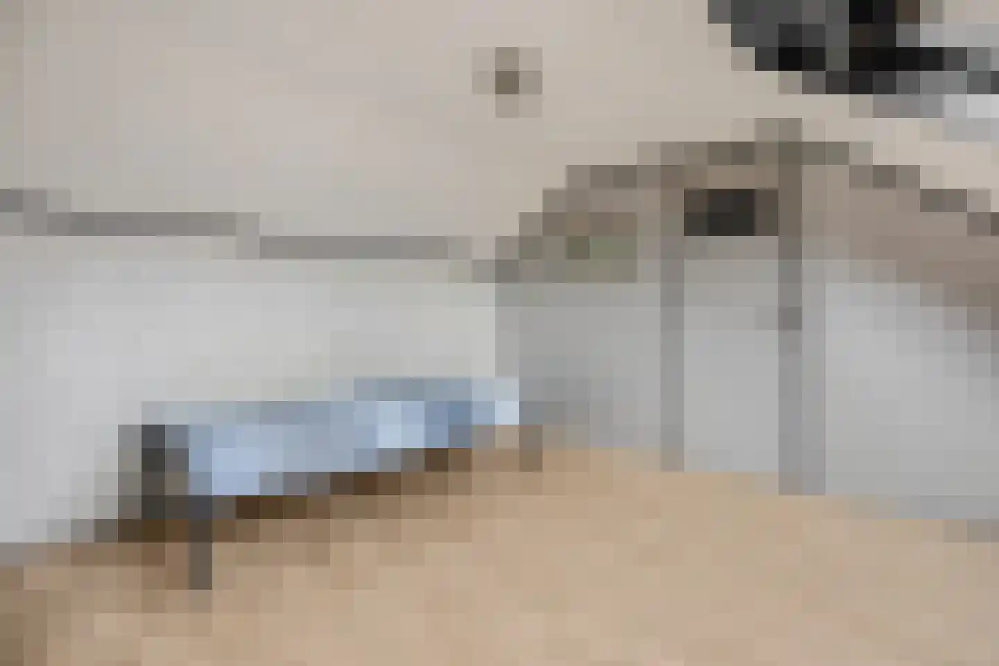De Steenkamp 64 Voorthuizen thumbnail 38