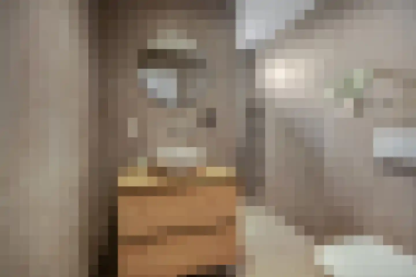 De Steenkamp 64 Voorthuizen thumbnail 4