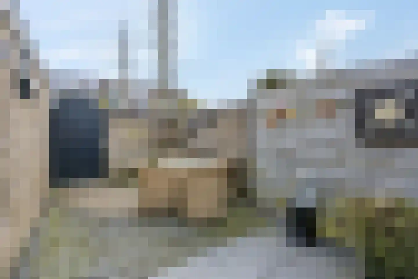 De Steenkamp 64 Voorthuizen thumbnail 42