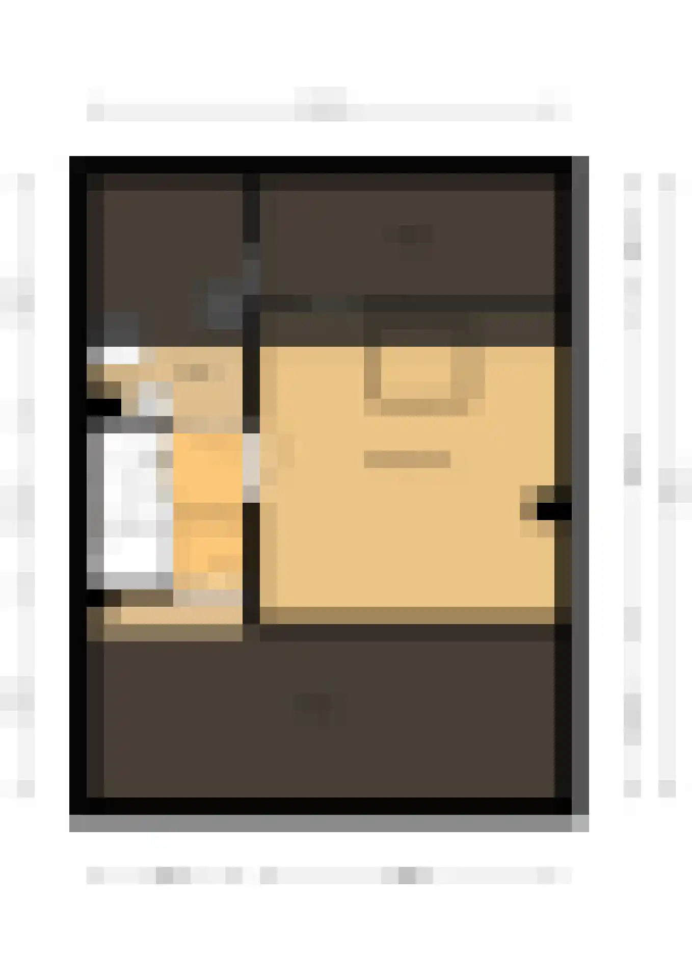 De Steenkamp 64 Voorthuizen thumbnail 49