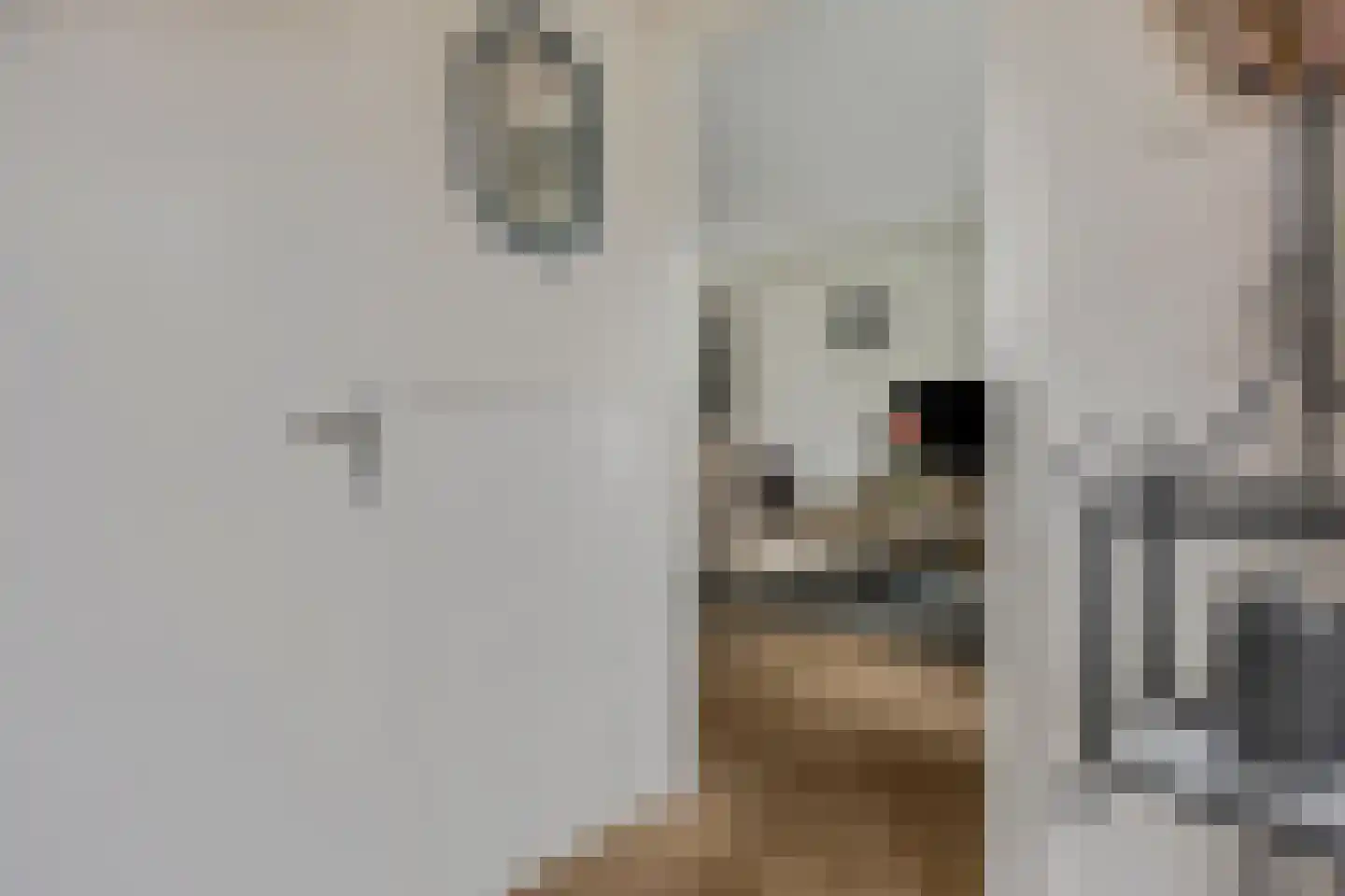 De Steenkamp 64 Voorthuizen thumbnail 9