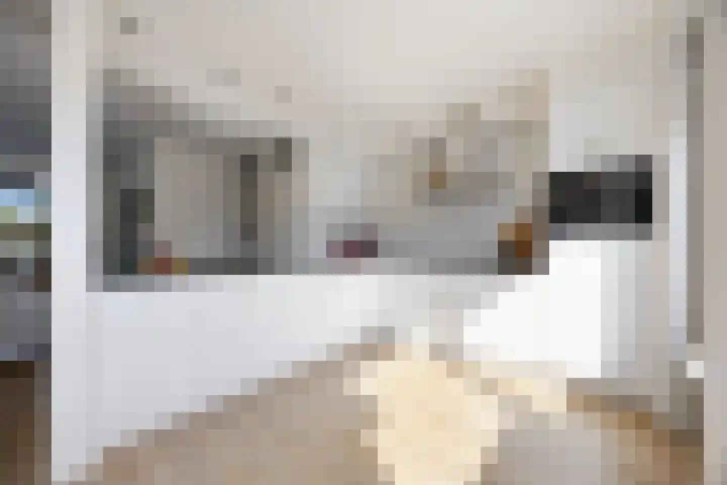 De Steenkamp 66 Voorthuizen thumbnail 11