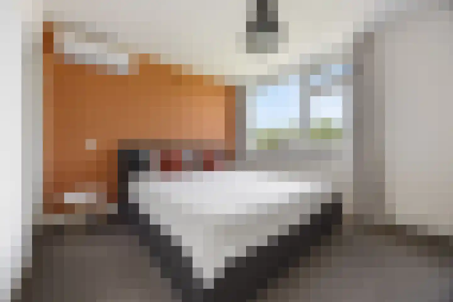 De Steenkamp 66 Voorthuizen thumbnail 15