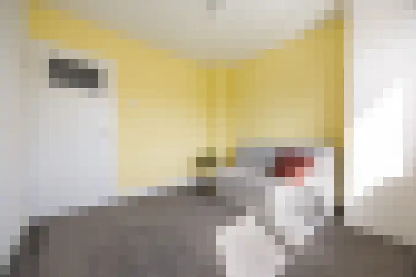 De Steenkamp 66 Voorthuizen thumbnail 18