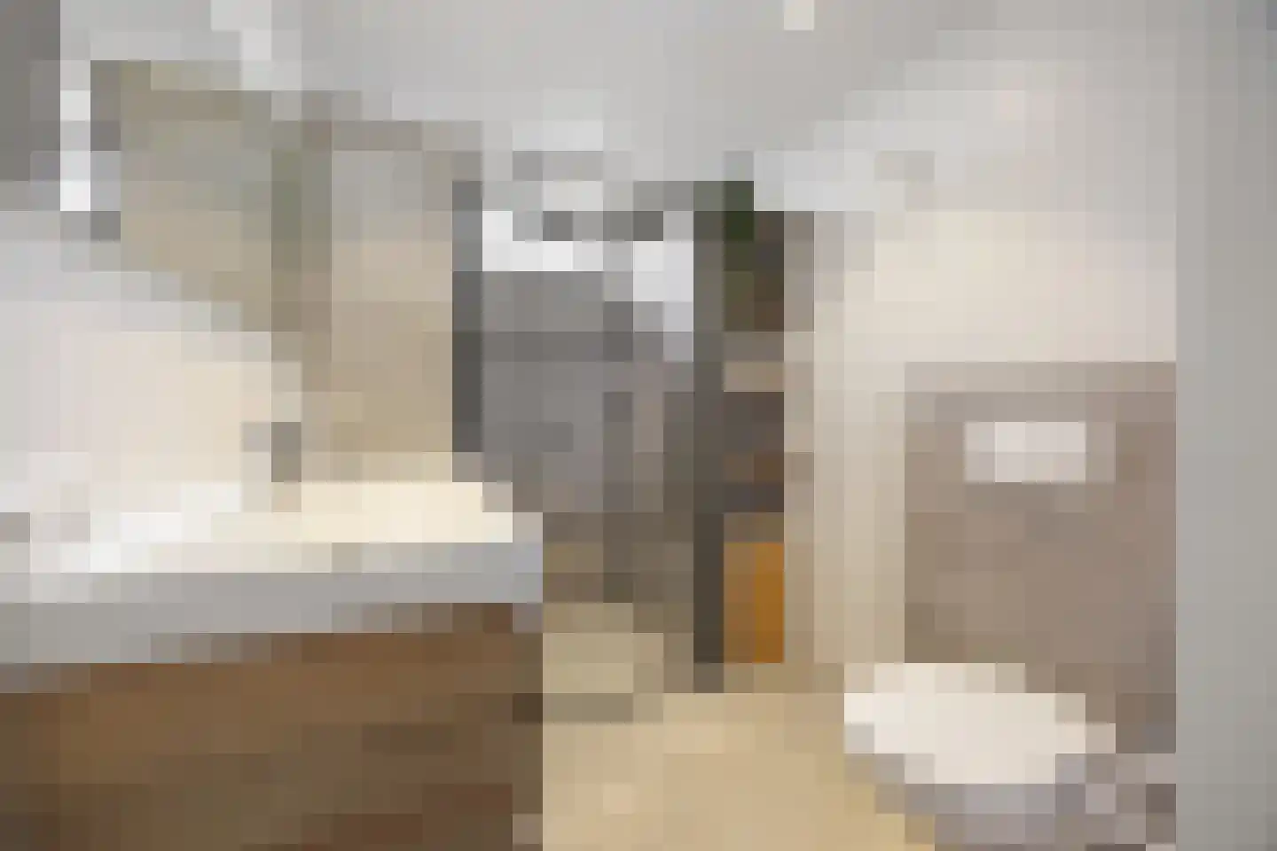 De Steenkamp 66 Voorthuizen thumbnail 21