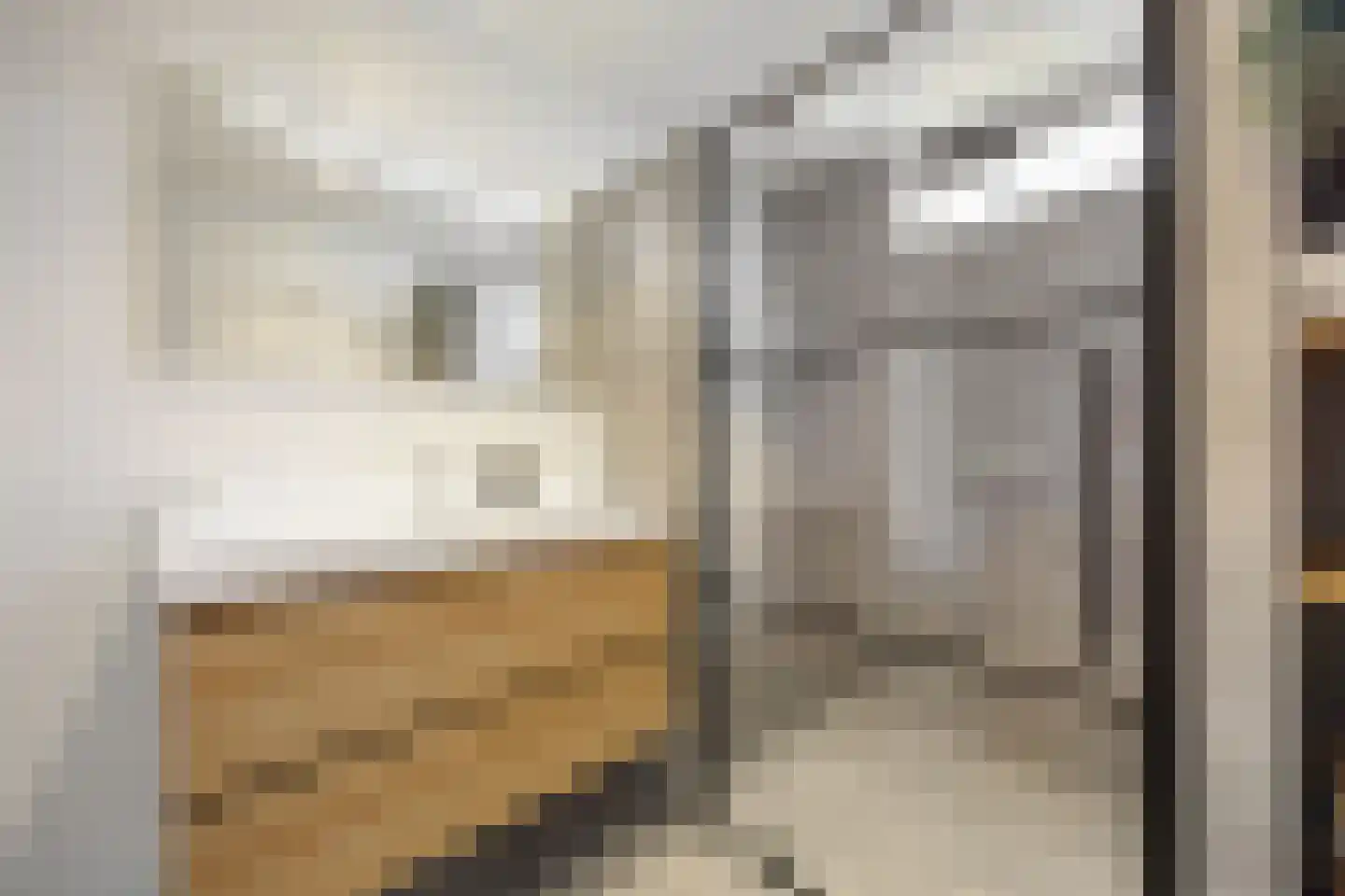 De Steenkamp 66 Voorthuizen thumbnail 22