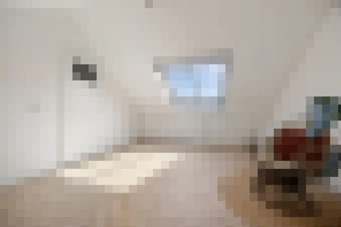 De Steenkamp 66 Voorthuizen thumbnail 25