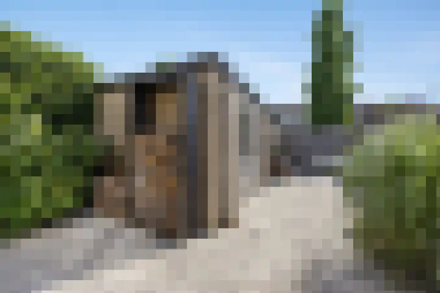 De Steenkamp 66 Voorthuizen thumbnail 27