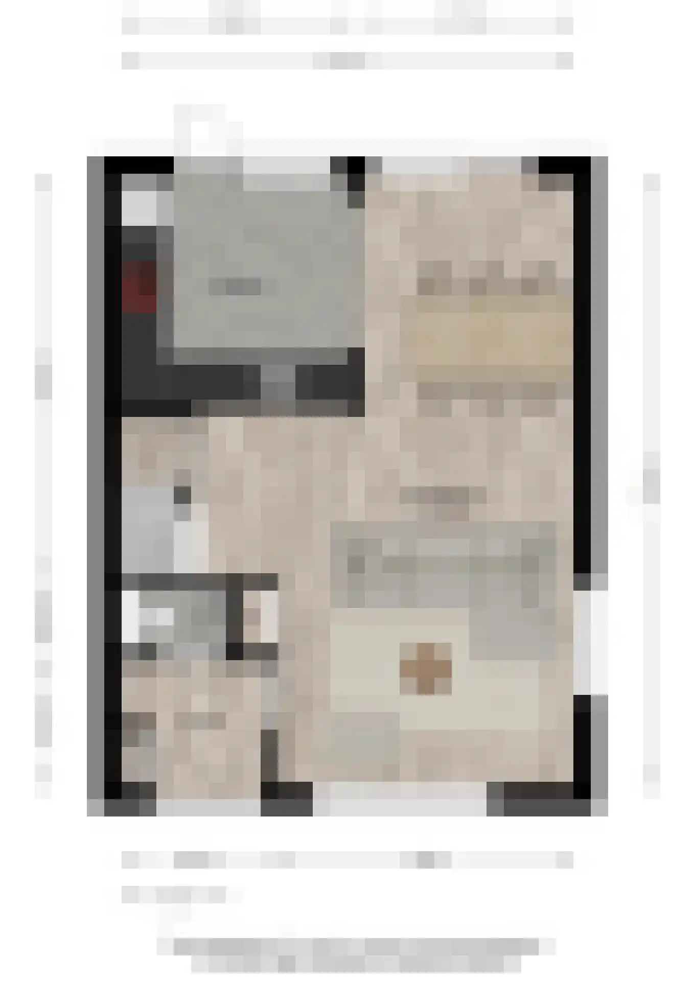 De Steenkamp 66 Voorthuizen thumbnail 33