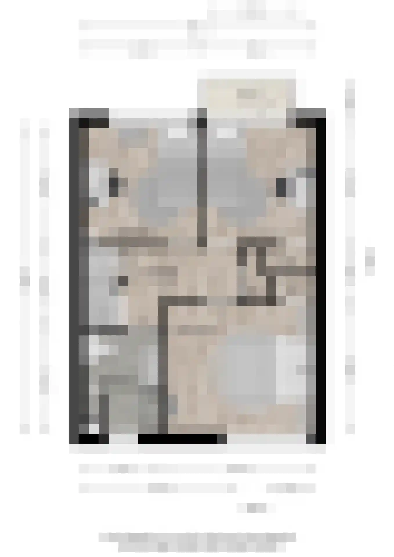 De Steenkamp 66 Voorthuizen thumbnail 34