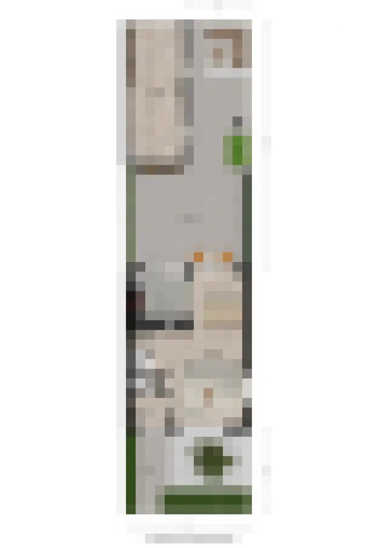 De Steenkamp 66 Voorthuizen thumbnail 24