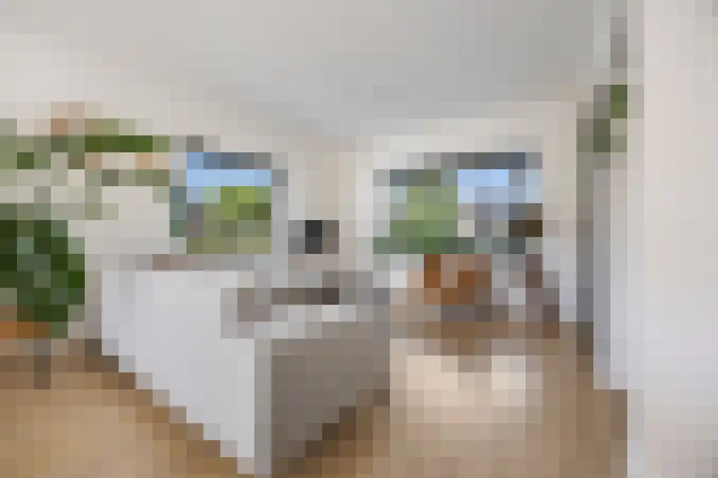 De Steenkamp 66 Voorthuizen thumbnail 6