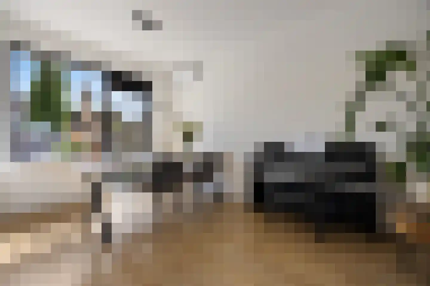 De Steenkamp 66 Voorthuizen thumbnail 8