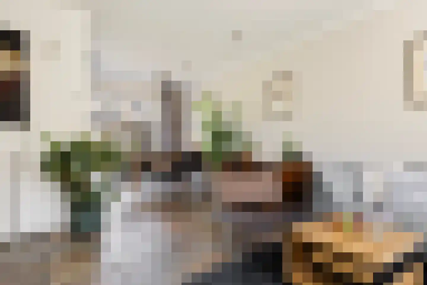 De Steenkamp 85 Voorthuizen thumbnail 12