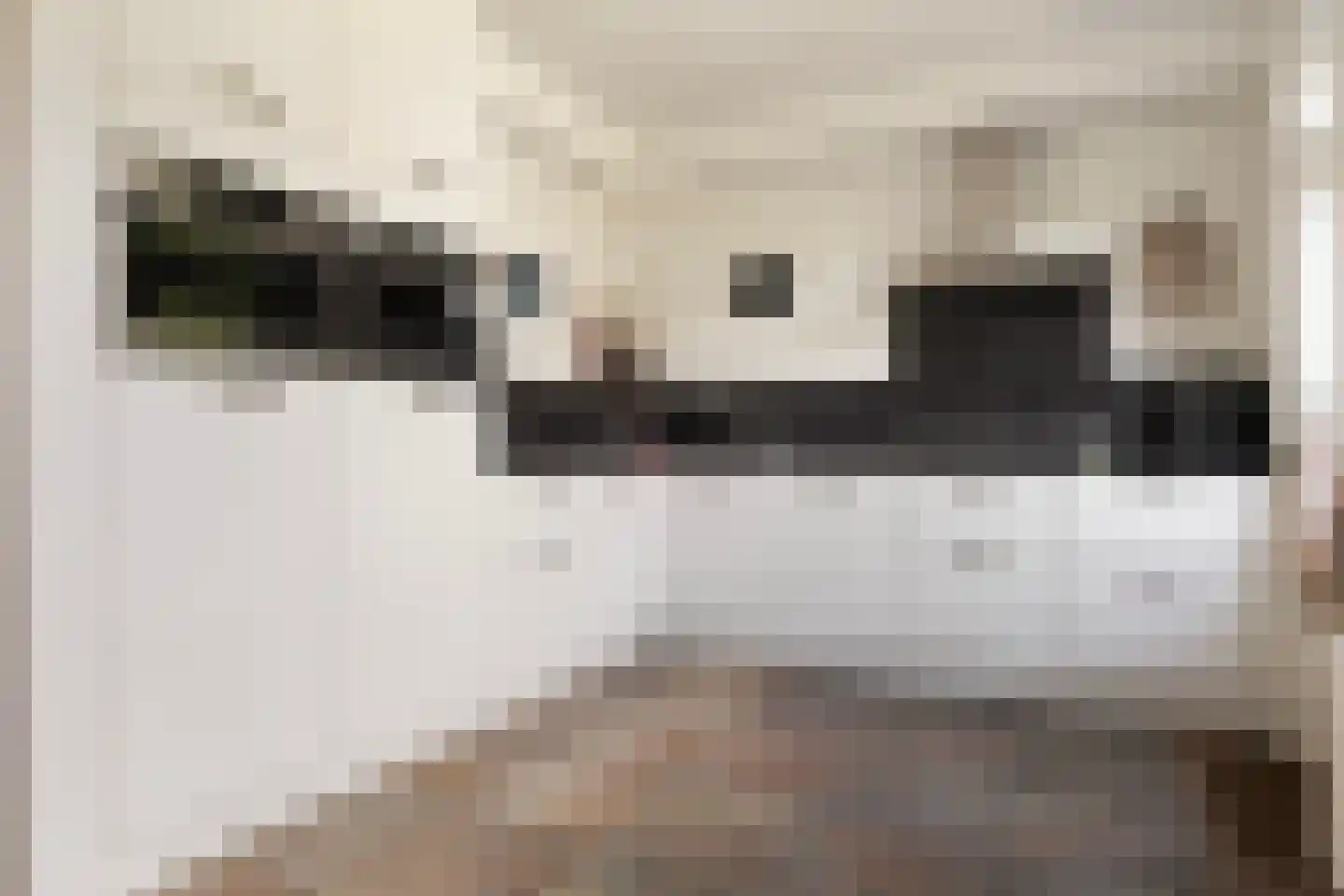 De Steenkamp 85 Voorthuizen thumbnail 14